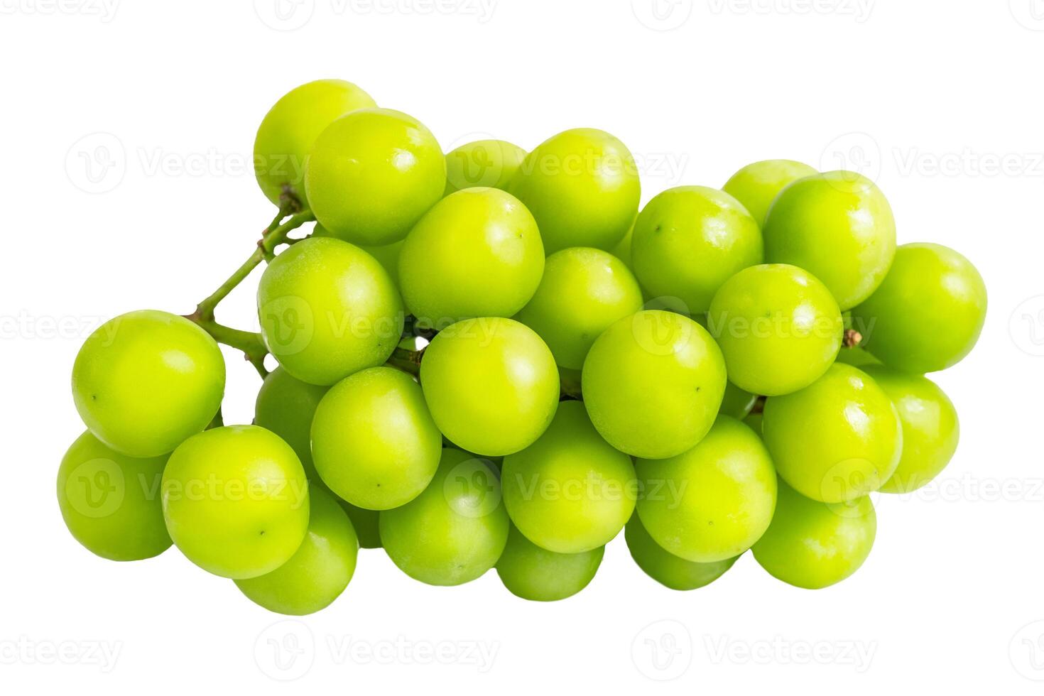 Bunch of green grapes isolated photo