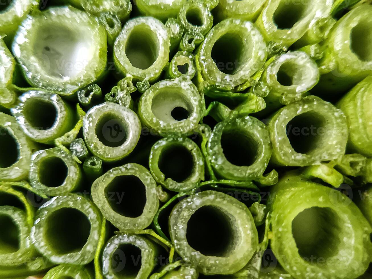 Pile of fresh chopped kale stems, close-up cross section photo