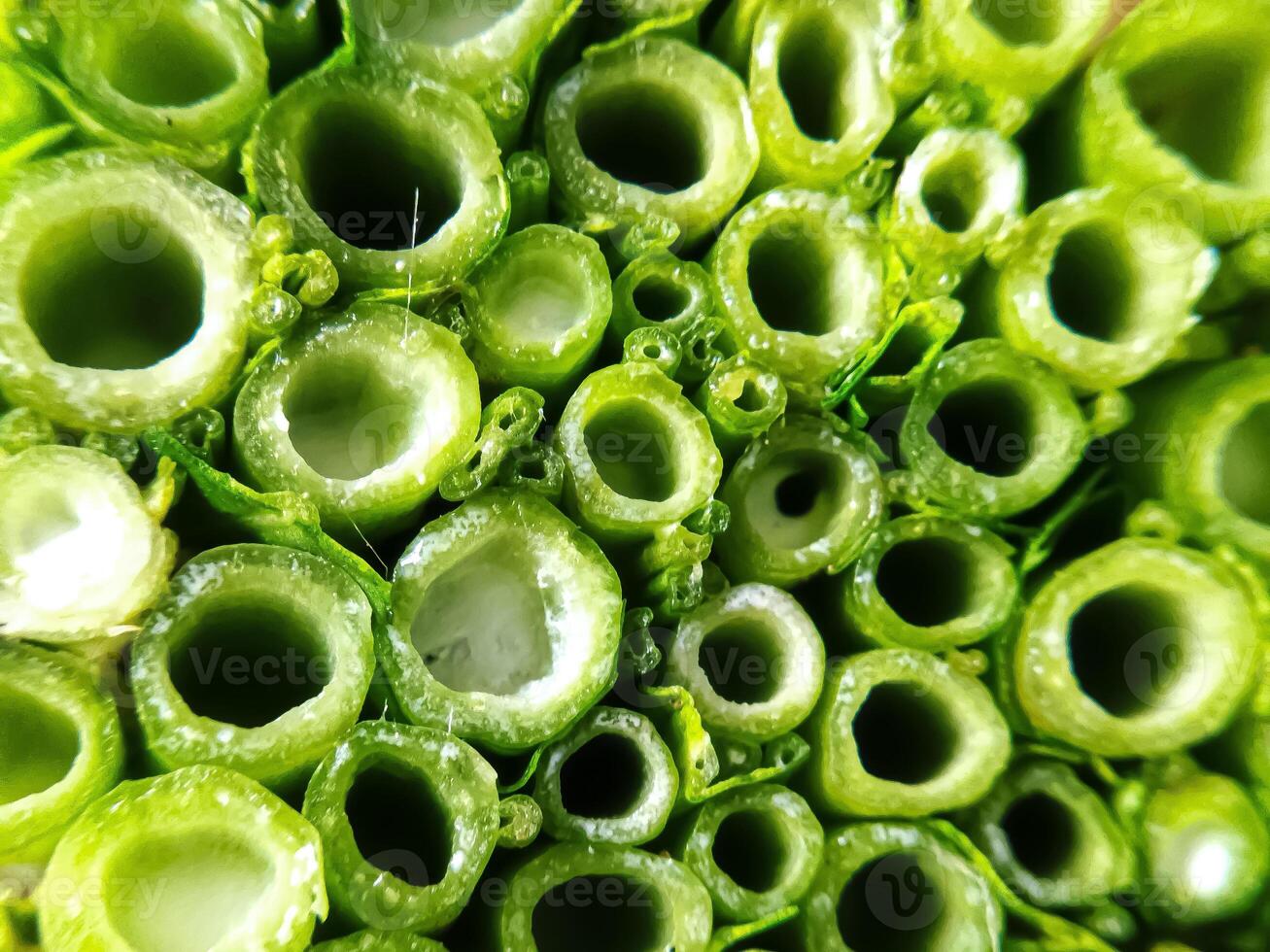 Pile of fresh chopped kale stems, close-up cross section photo