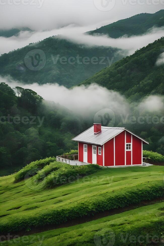 Small Red House with White Roof in Foggy Hills photo