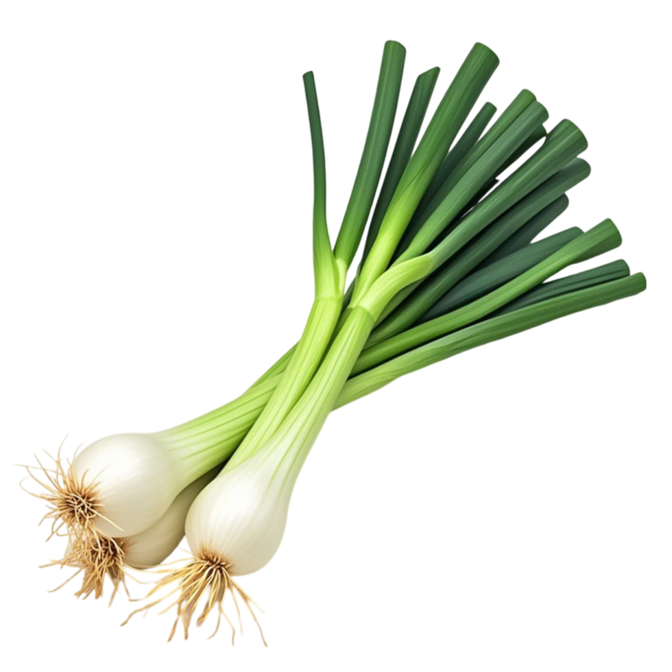 green onion on a transparent background png
