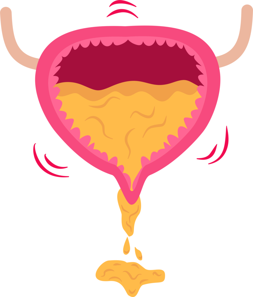 Urinary bladder incontinence png