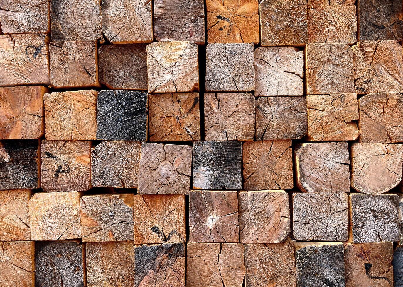 Wooden textured background in different textures, shapes and colors photo