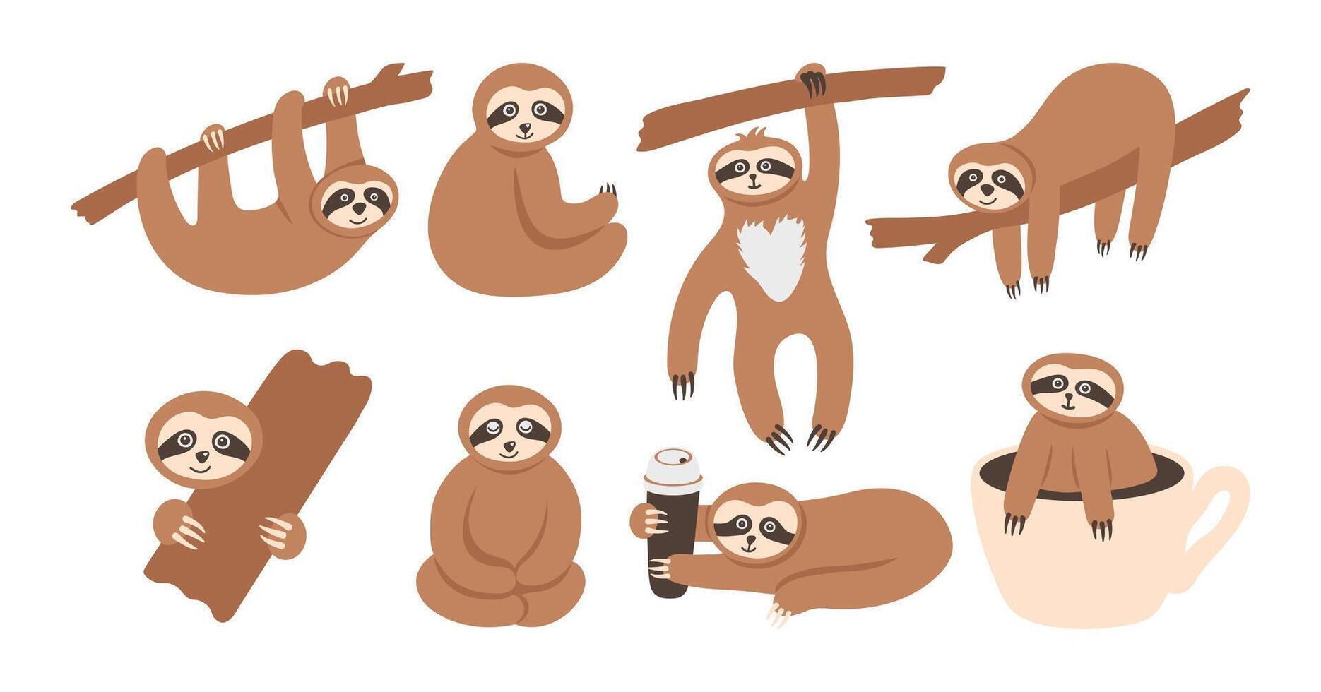 Adorable sloth animals collection. Hand drawn tropical bears character on the tree, sitting, hanging and relax vector