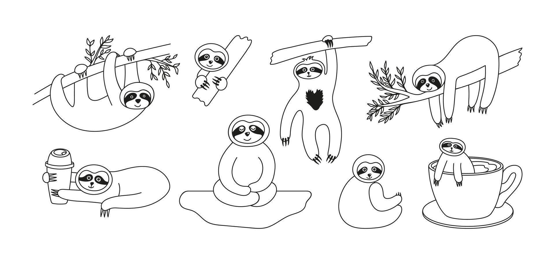 Adorable sloth animals collection doodle. Hand drawn tropical bears character on the tree, sitting, hanging and relax vector