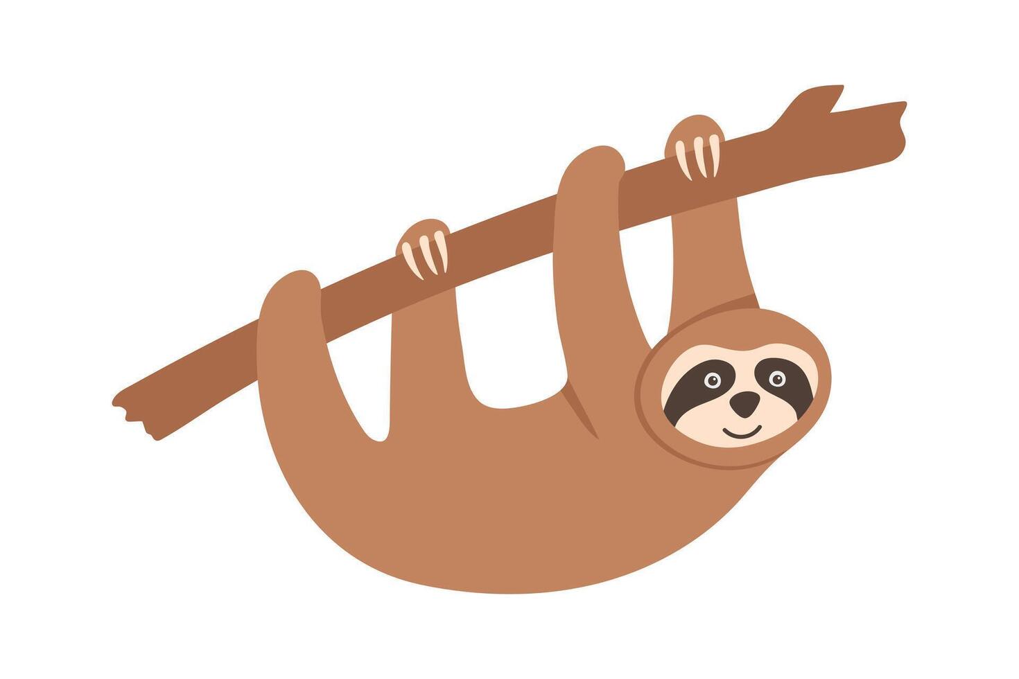 Hand drawn sloth hanging on wooden branch. Funny tropical bear character vector
