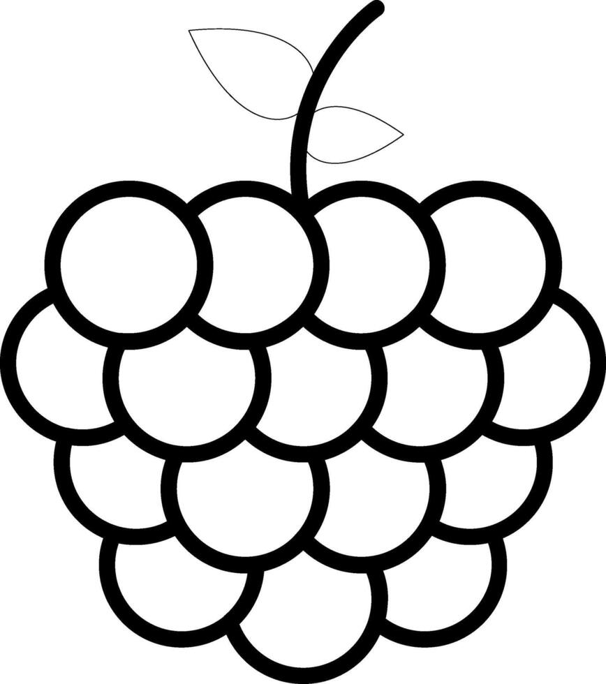 Grape Line Icon vector