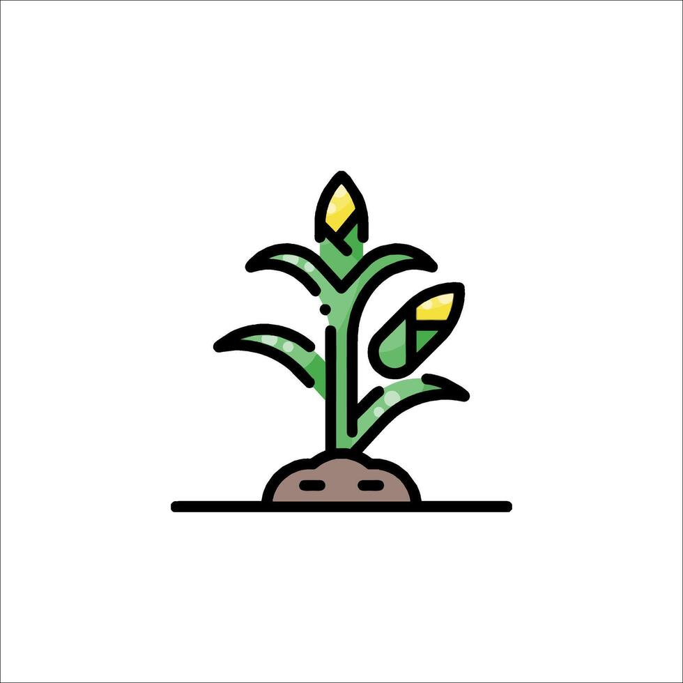 Corn plant icon illustration vector