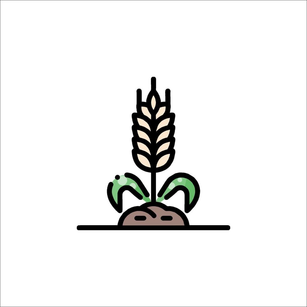 A wheat plant icon on a white background vector