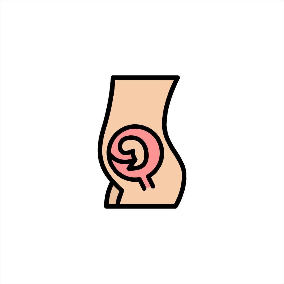 A woman's stomach with a baby inside vector