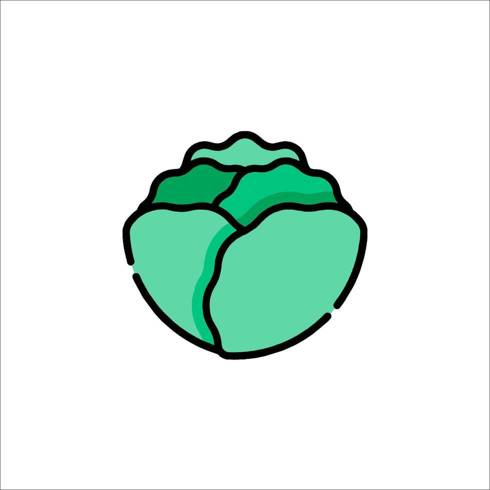 Cabbage icon illustration vector