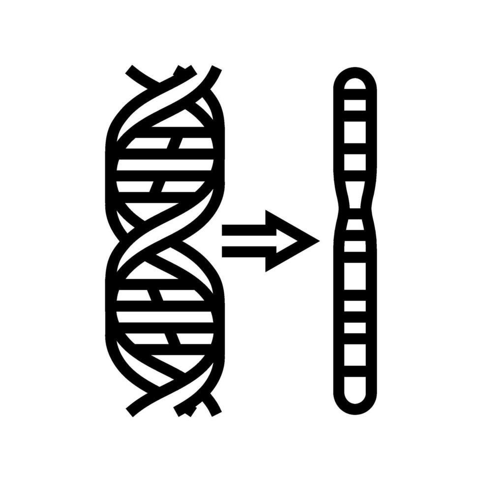 chromosome genetic engineering line icon illustration vector
