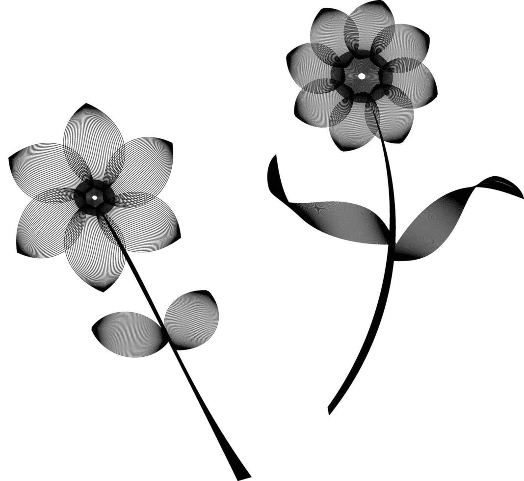 two black and white flowers are shown in the middle vector
