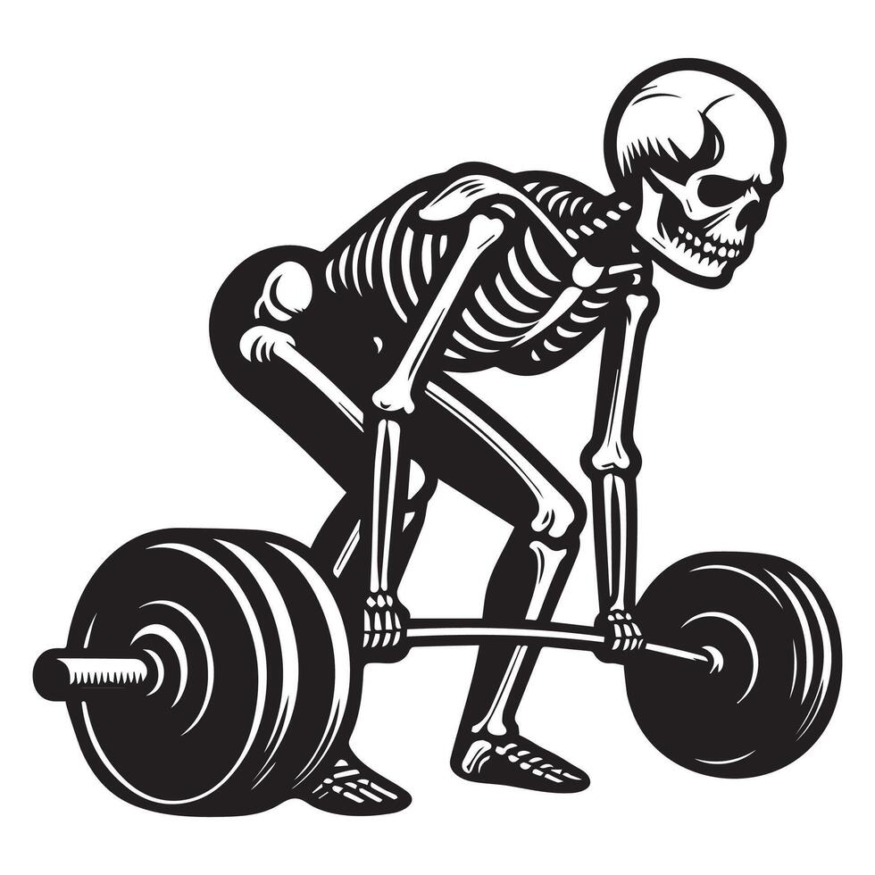 Skeleton Pumping Iron in Gym Pose vector