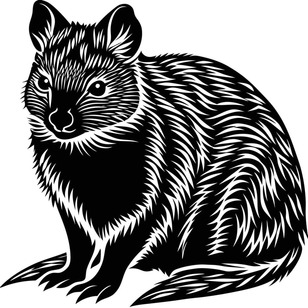 a black and white drawing of a kangaroo vector