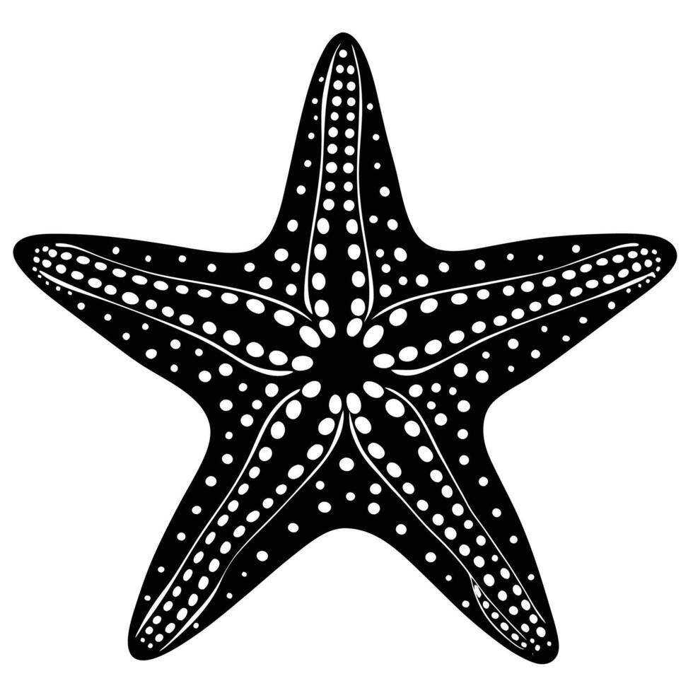 a black and white starfish on a white background vector