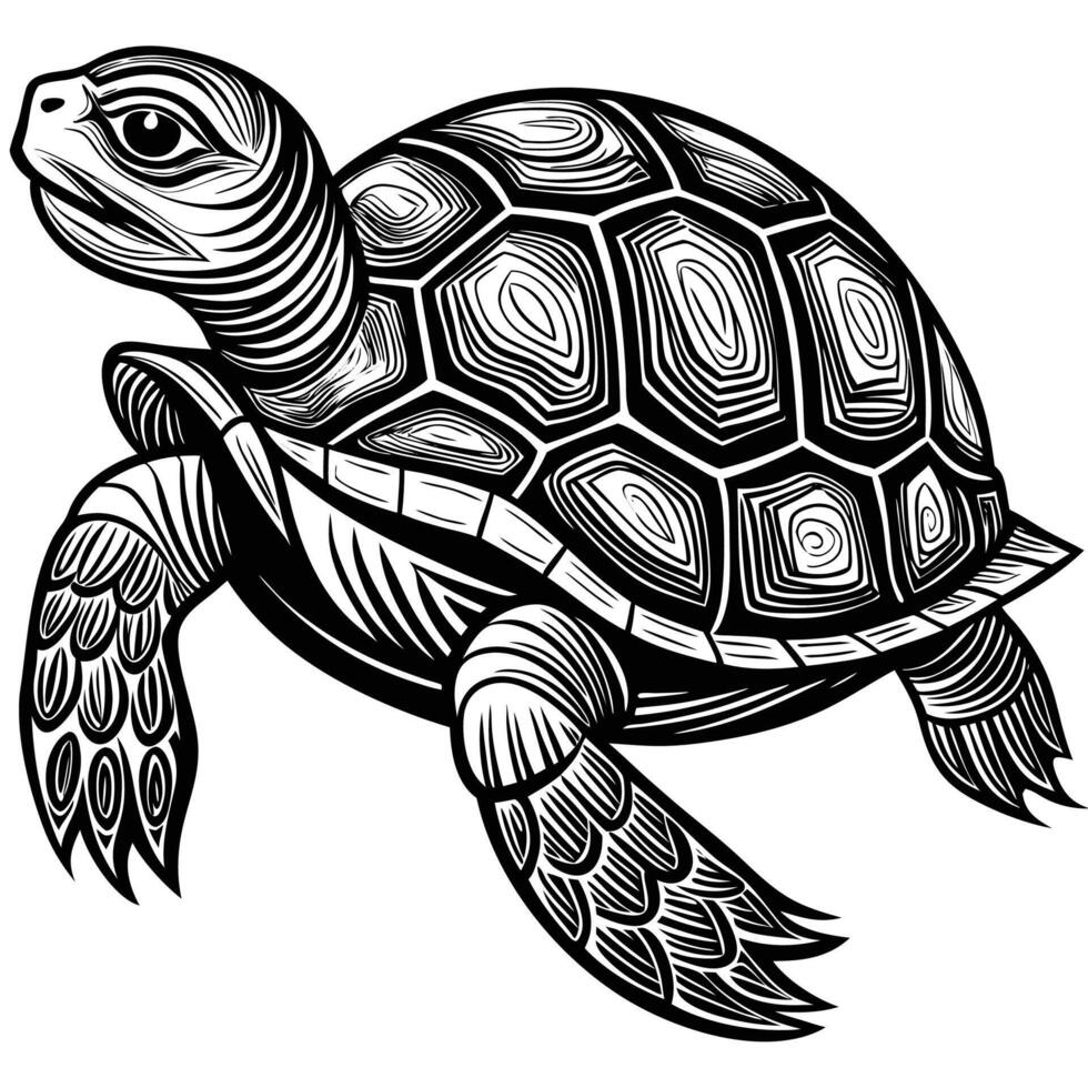 a turtle is shown in a woodcut style vector