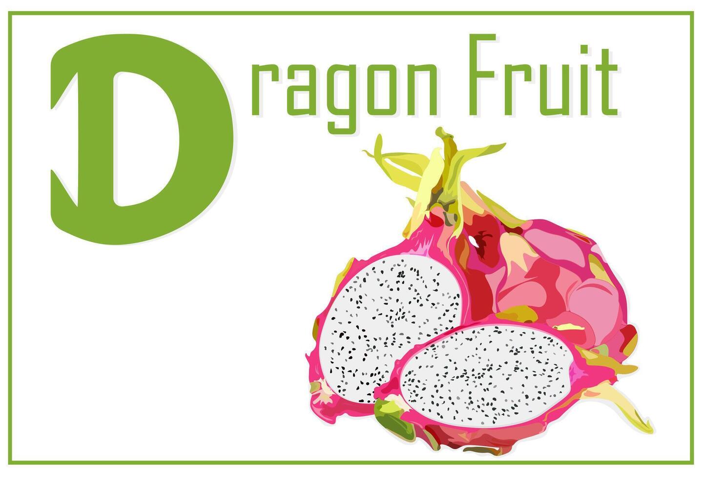 Alphabet card for children with the letter D and Dragon Fruit vector