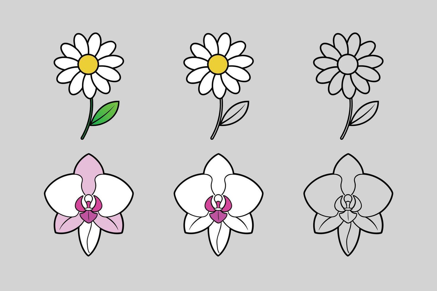 Daisy and Orchid Flower Bundle in Three Styles vector