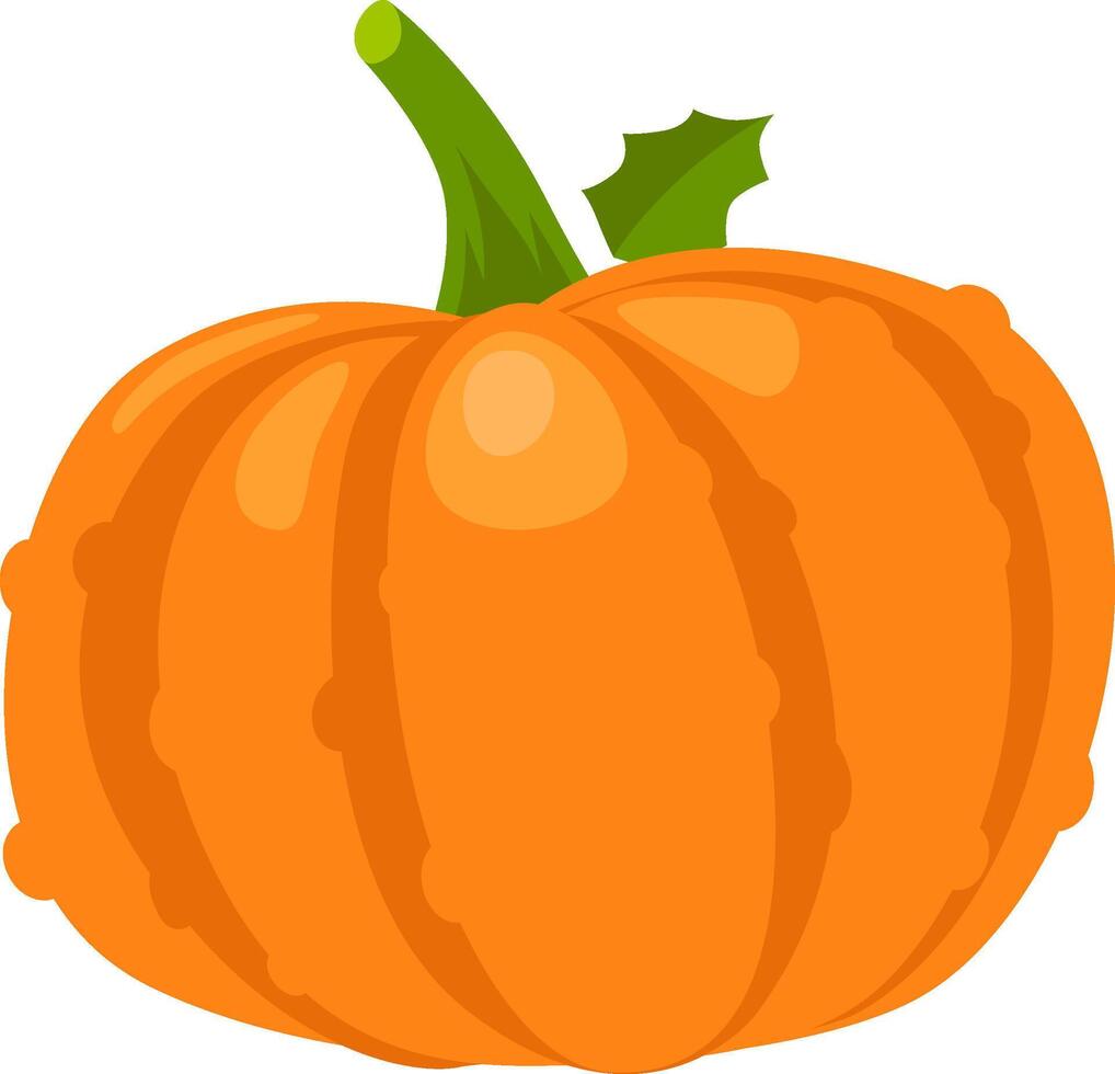 Vibrant orange pumpkin with distinct segments, green stem, and a single leaf, conveying the essence of autumn harvest and festive celebrations vector