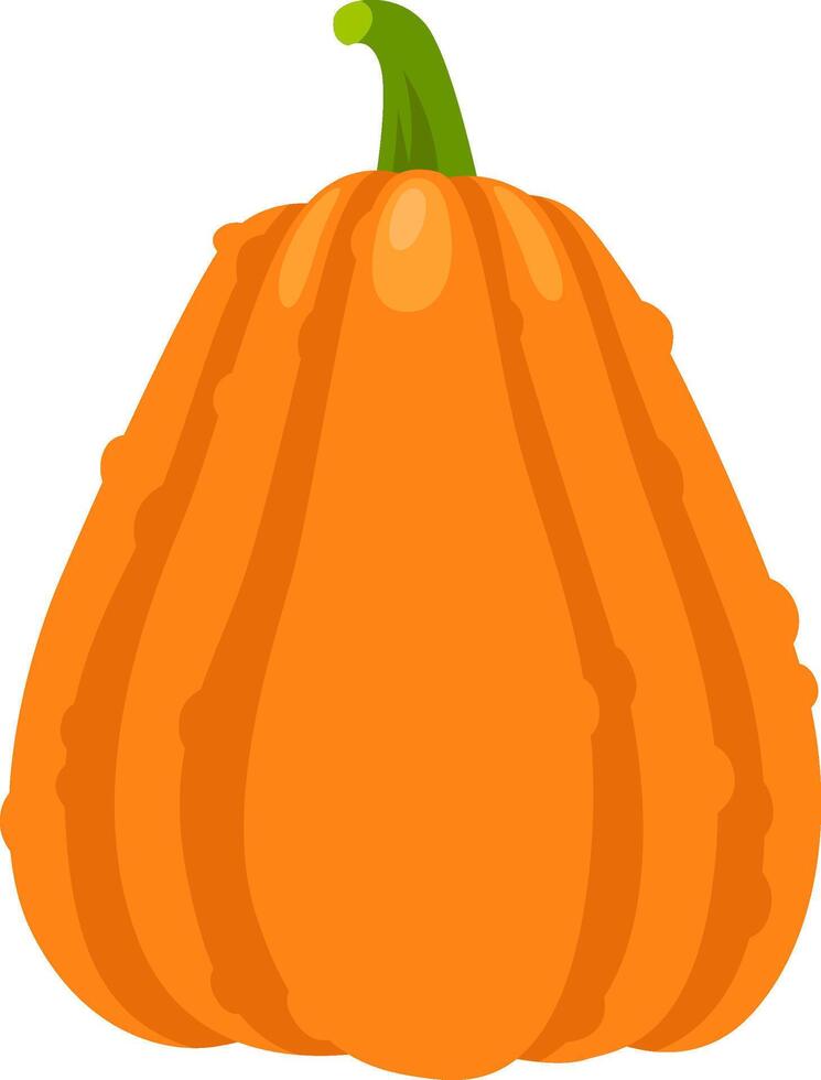 Vibrant orange pumpkin featuring prominent vertical grooves and a sturdy green stem, capturing the essence of autumnal harvests and festive seasonal decorations vector