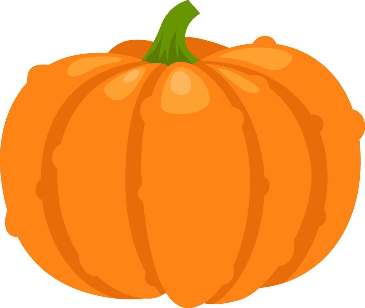 Vibrant orange pumpkin with distinct segments and a green stem, isolated on a white background, evokes autumnal harvest and festive celebrations vector