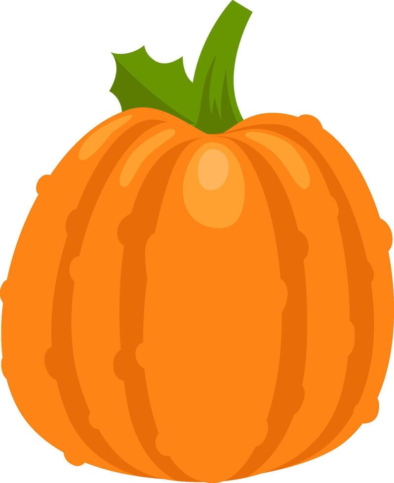 Vibrant orange pumpkin with prominent vertical grooves and a sturdy green stem, creating a festive autumnal image perfect for harvest celebrations vector