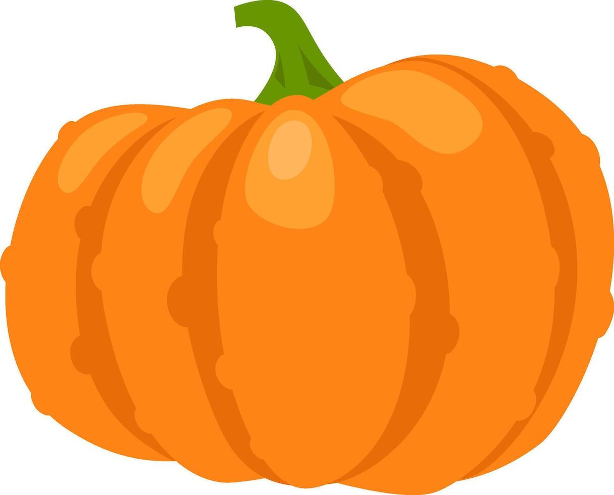 Vibrant orange pumpkin with clearly defined segments and a contrasting green stem, conveying the essence of autumn harvest and festive celebrations vector
