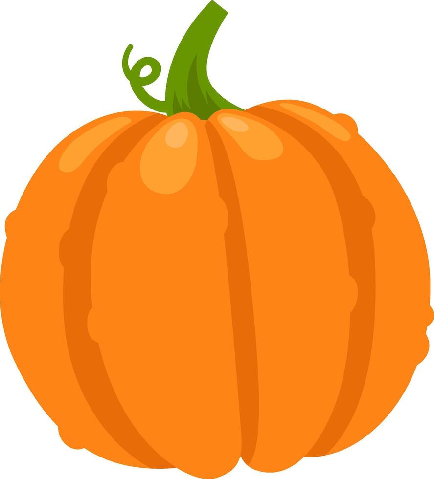 Vibrant orange pumpkin featuring distinct segments and a curled green stem, capturing the essence of autumnal harvests and festive celebrations like thanksgiving and halloween vector