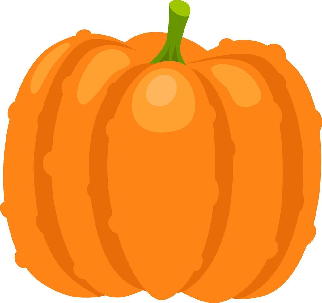Vibrant orange pumpkin featuring distinct segments and a green stem, isolated against a crisp white background, evokes a festive autumn atmosphere perfect for seasonal celebrations vector