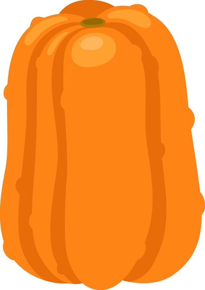 Long orange pumpkin standing vertically on a solid white background, with visible ridges and stem, suitable for autumnal and harvest themes vector