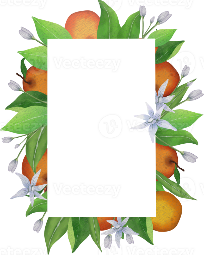 frame picture frame png