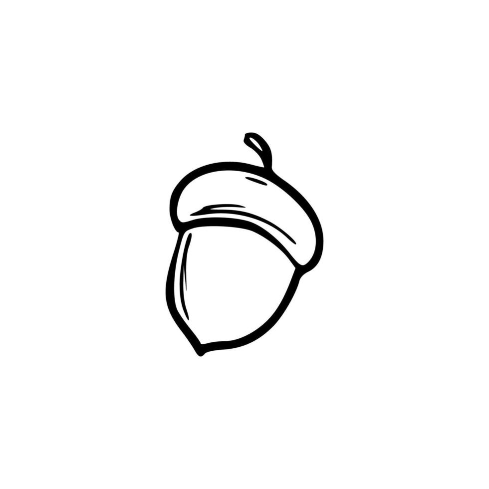 A black and white drawing of an acorn vector