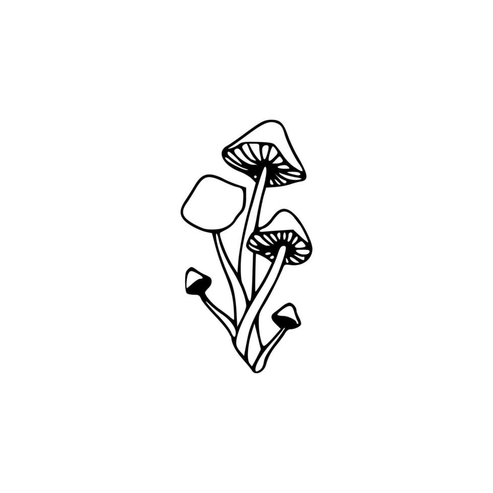 black and white drawing of mushroom illustration vector