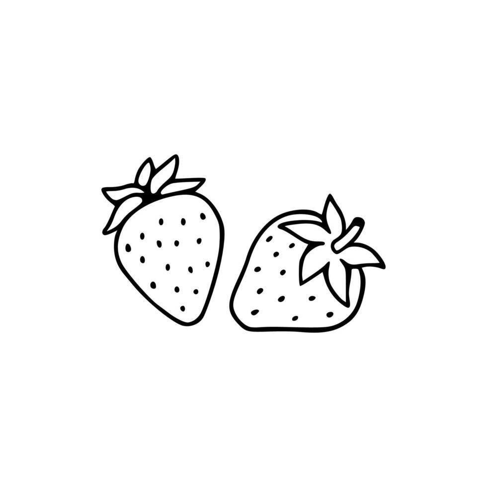 Two strawberries are shown in a line drawing vector