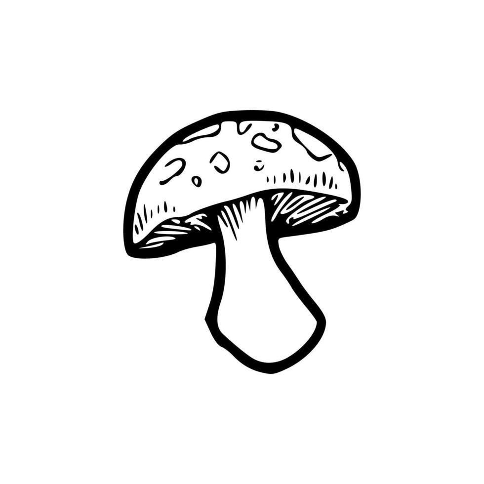 A black and white drawing of a mushroom vector
