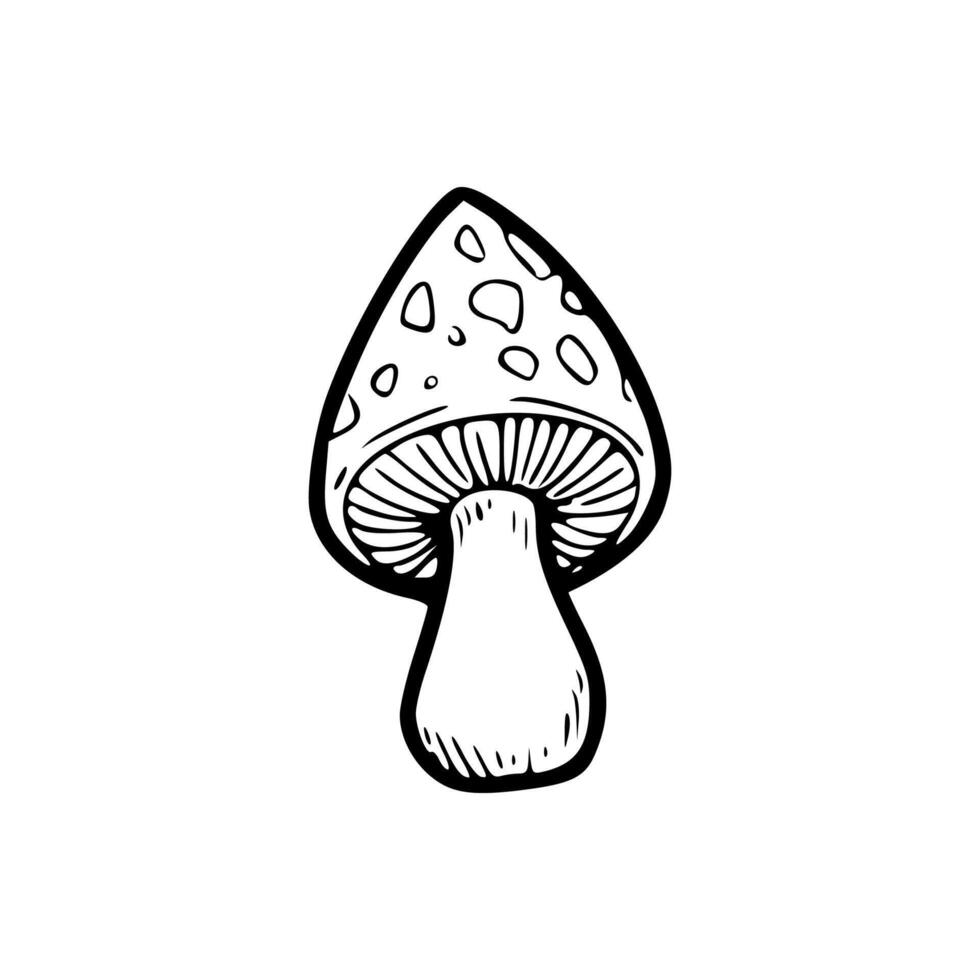 A black and white drawing of a mushroom vector