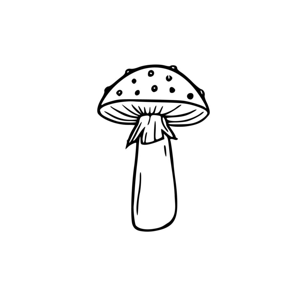 A black and white drawing of a mushroom vector