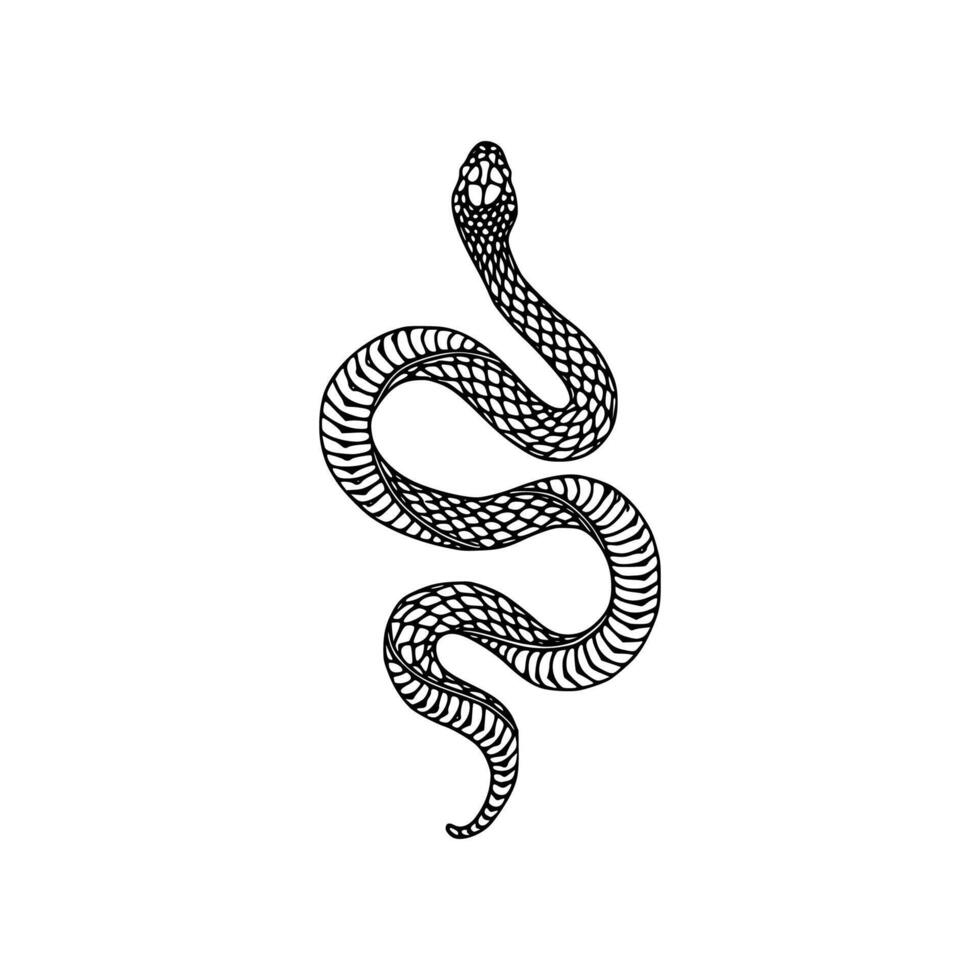 Snake tattoo design vector