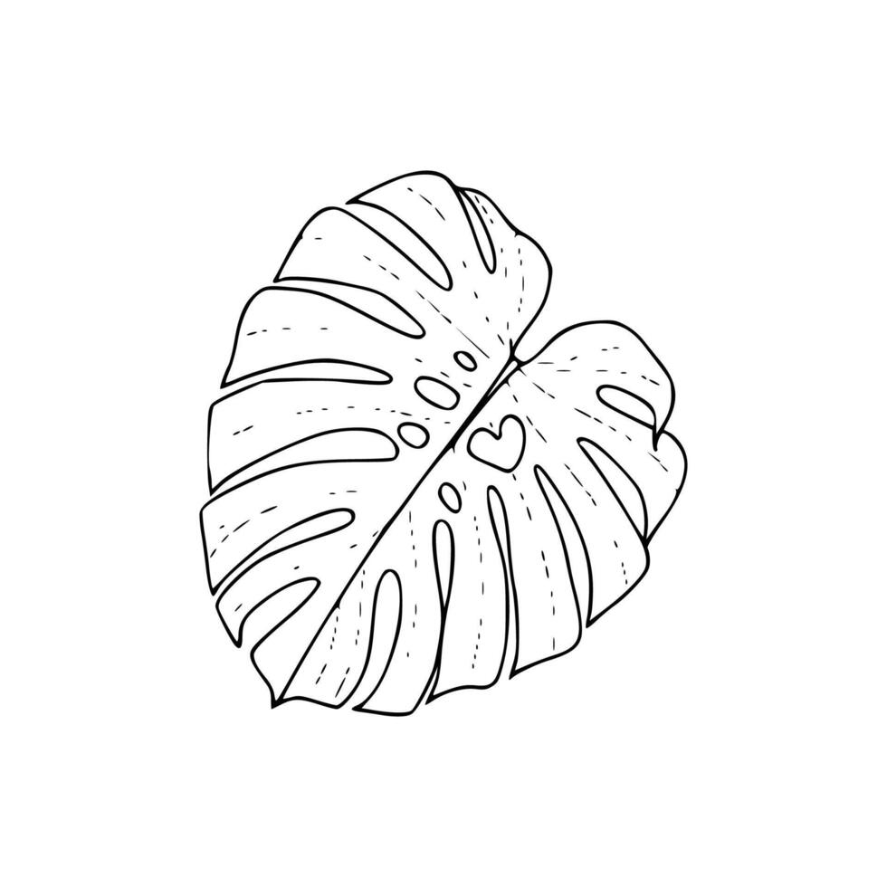 Monstera leaf coloring page vector