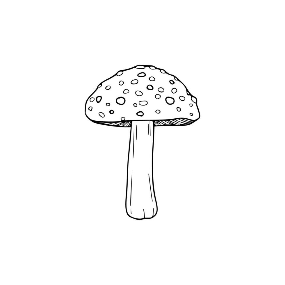 A black and white drawing of a mushroom vector