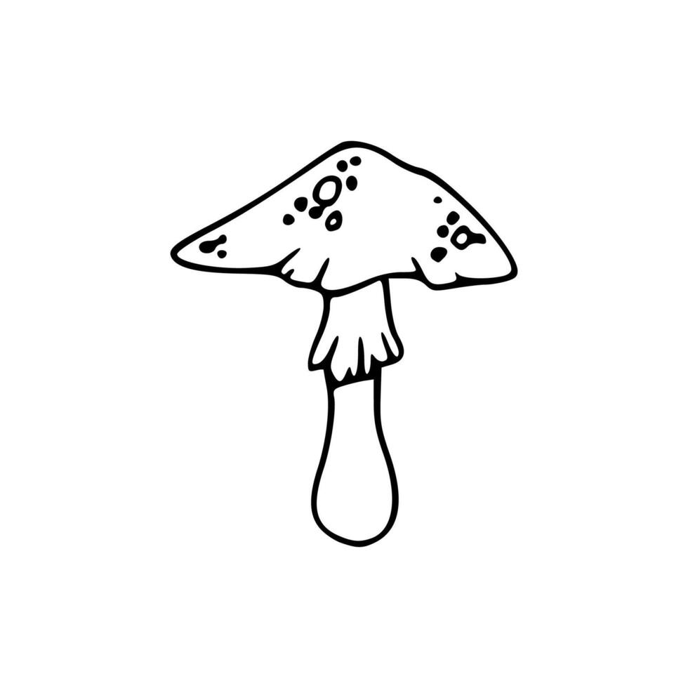 A black and white drawing of a mushroom vector