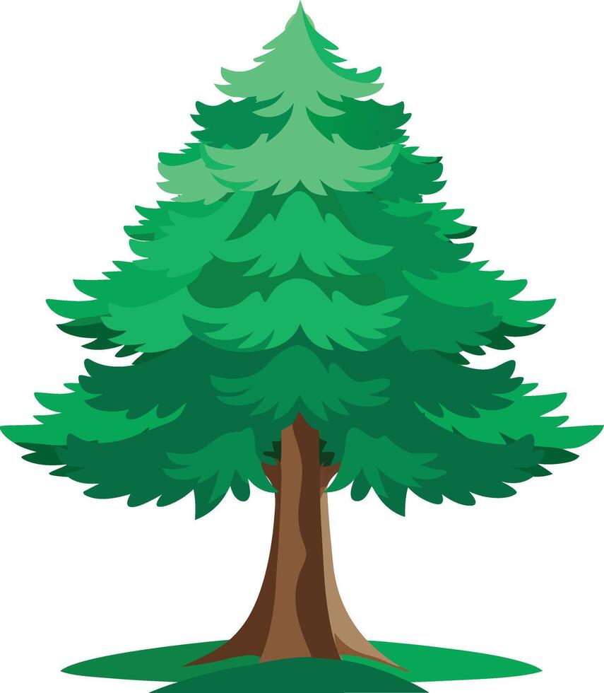 Wonderful a Cedar tree art illustration and colorful graphics design vector
