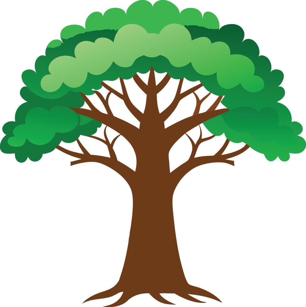 A green Baobab tree art illustration and colorful graphics design vector