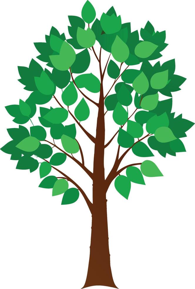 A Birch green tree art illustration and colorful graphics design vector