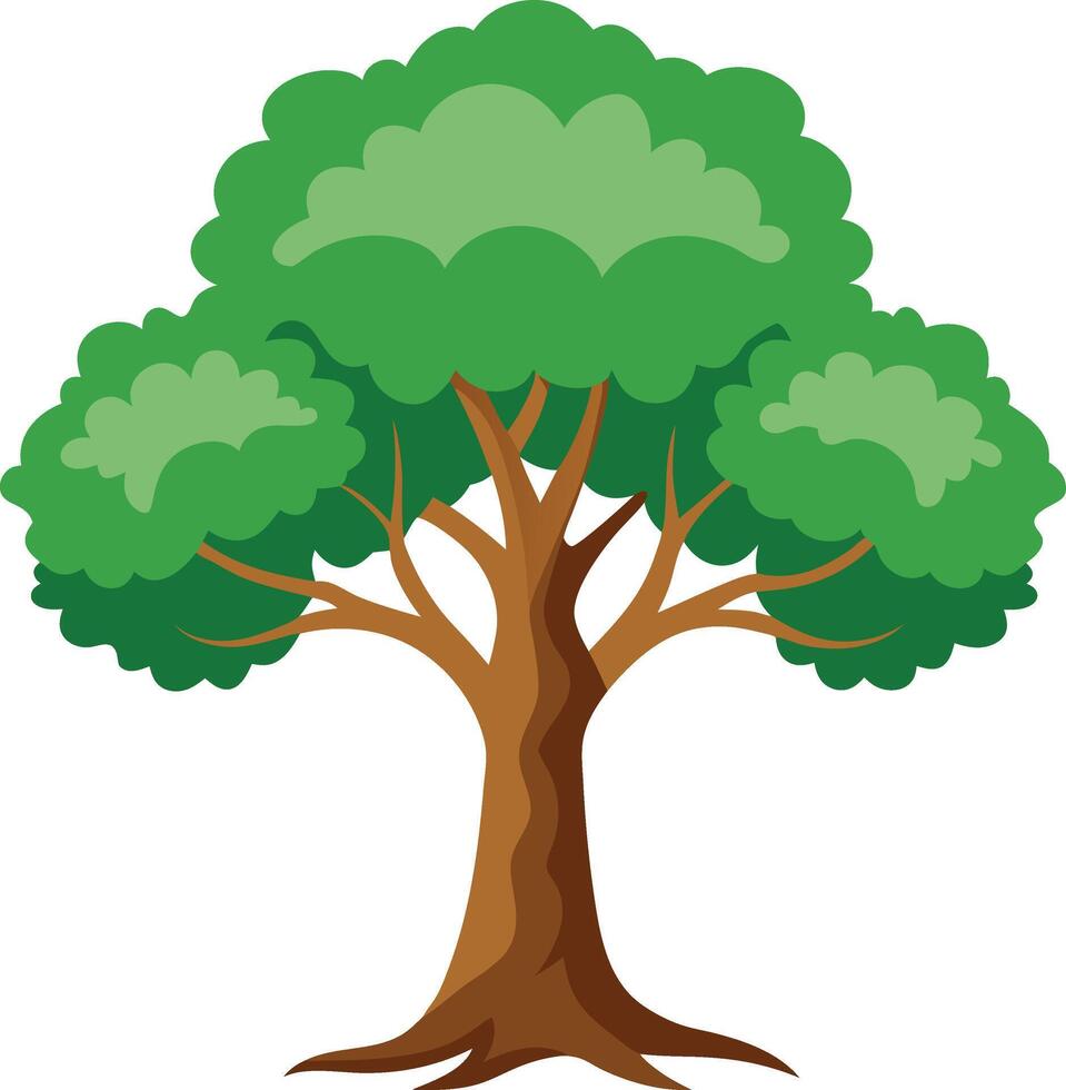Oak green tree art illustration and colorful graphics design vector
