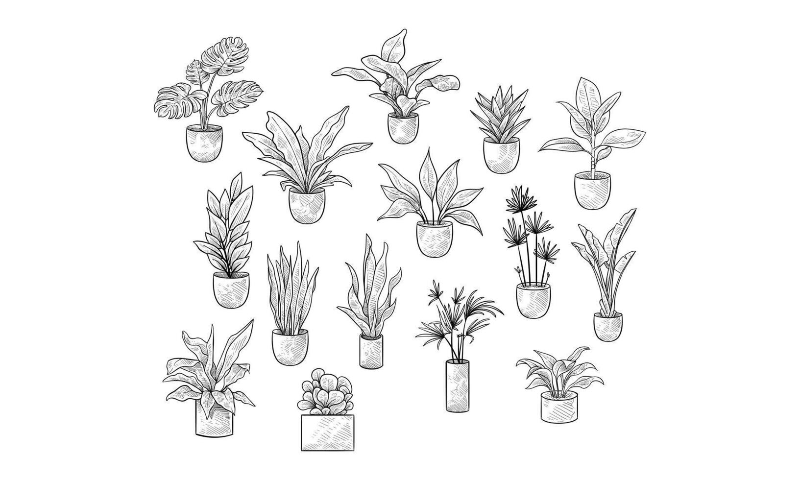 houseplant handdrawn collection vector