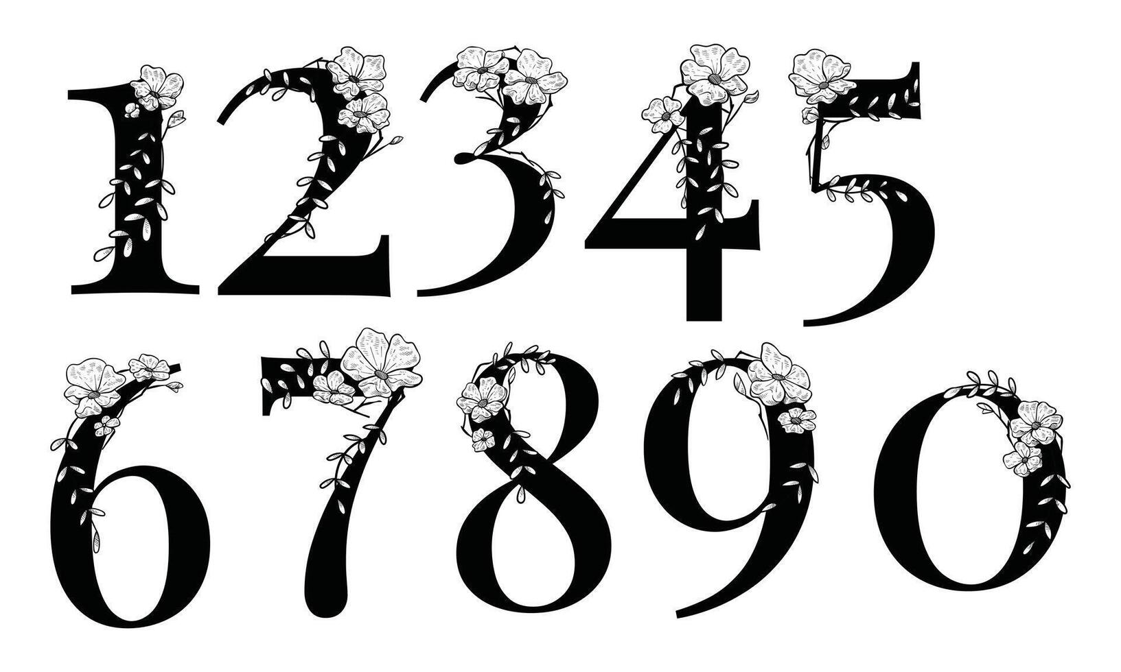 number natural floral font handdrawn collection vector