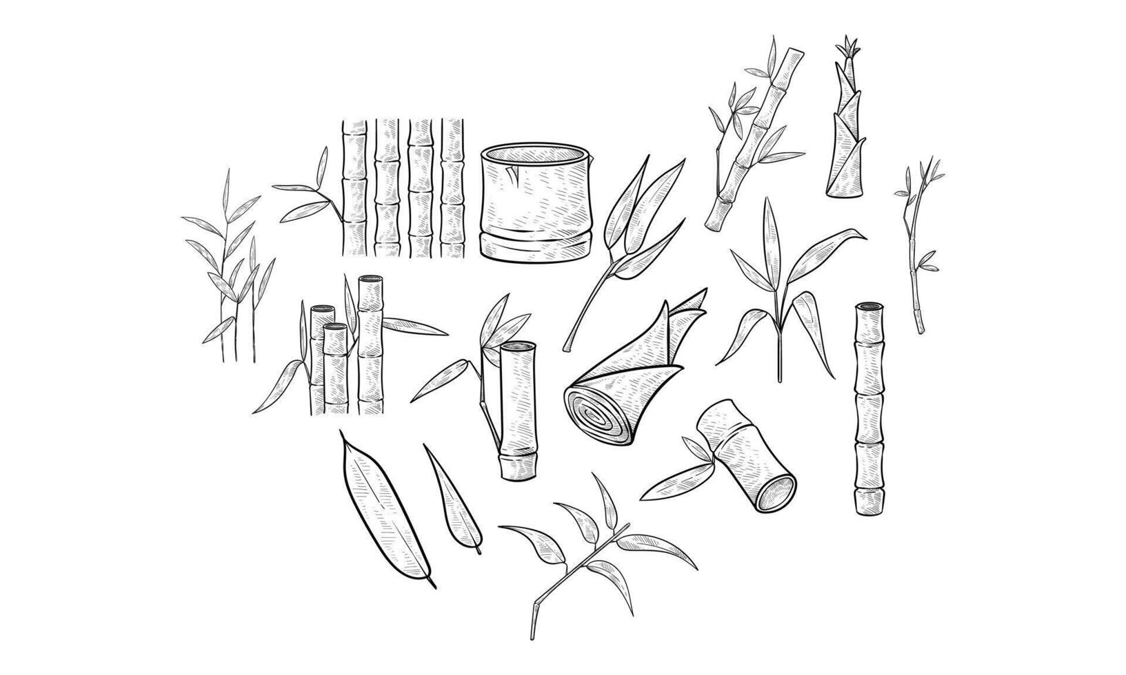 bamboo handdrawn collection vector