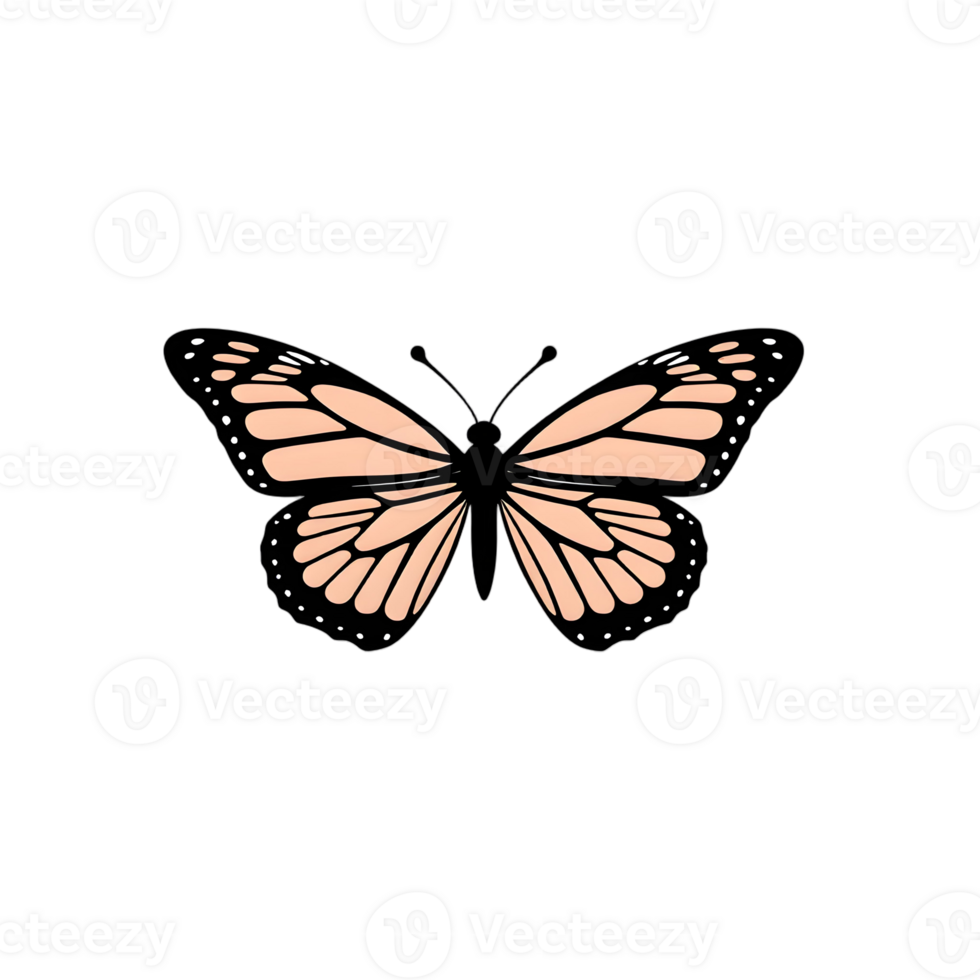 A butterfly is shown on a black background png